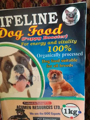 Dog Foods Accessories