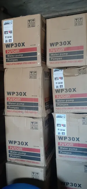 Parsun Wp30x Water Pump