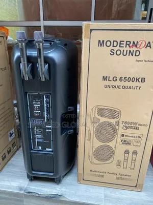 Original Modern Day PA System With Equalizer Effect
