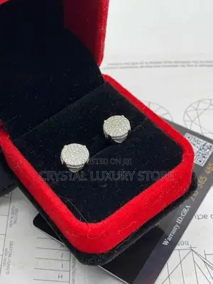 Moissanite Stud Earring Silver Passes Diamond Test