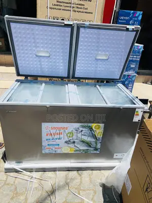 Snowsea Double Door Deep Freezer 600 Lits