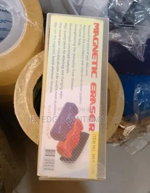 Magnetic Duster