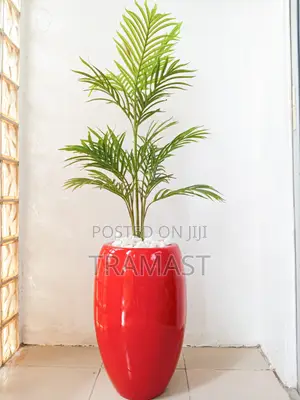 Potted Single Palm Plant With Red Fiberglass Pot – Height 15