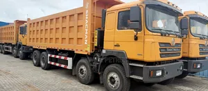 Brand New Shacman 8x4 Dump 12tyres Trick