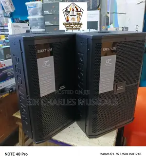 High Quality Peculiar 12 Inches Professional Pair Speaker