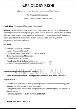 Computing IT CV