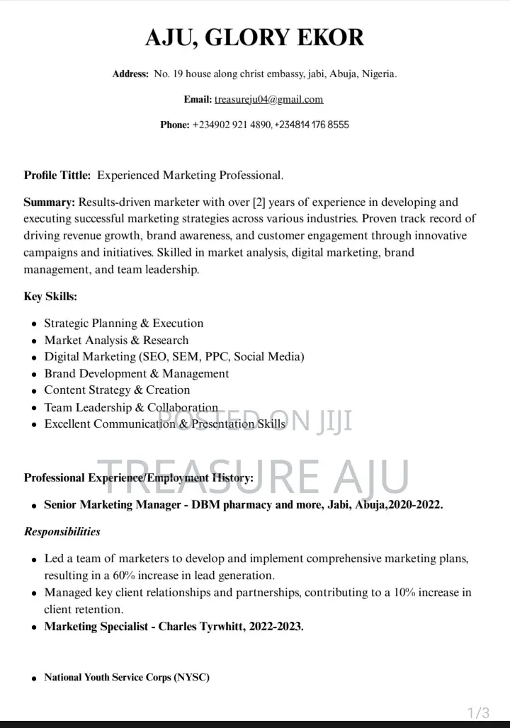 Computing IT CV