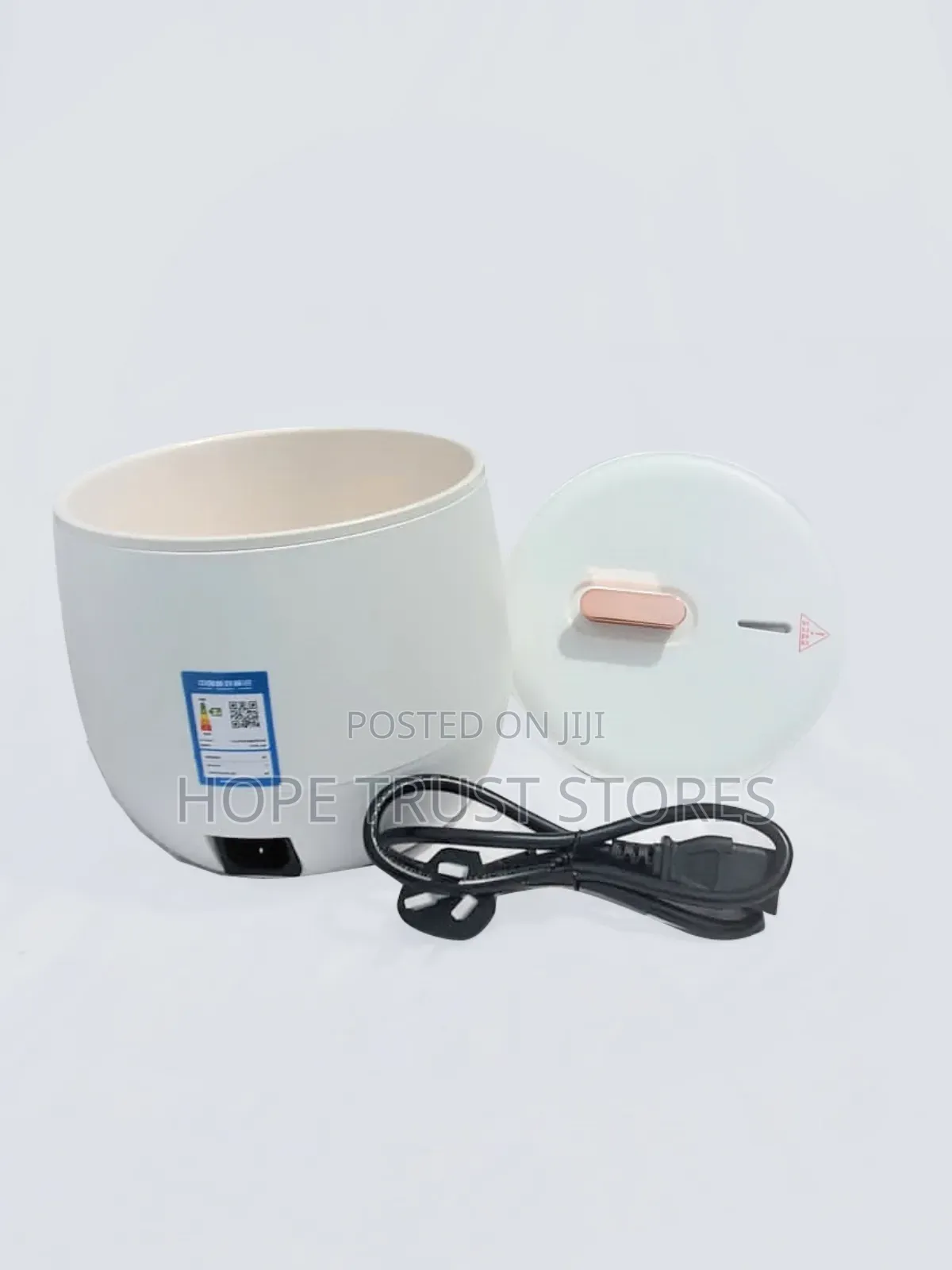 Electric Cooking Pot