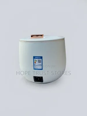 Electric Cooking Pot