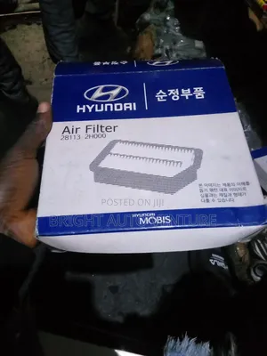 Filter Air Cleaner for Hyundai Elantra 008