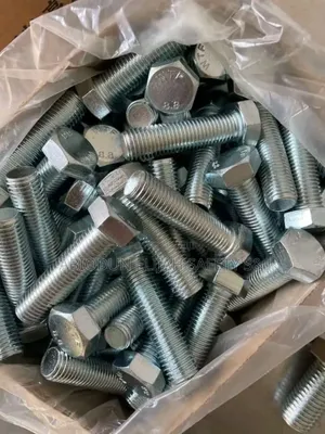 Galvanized Bolt And Nut M12