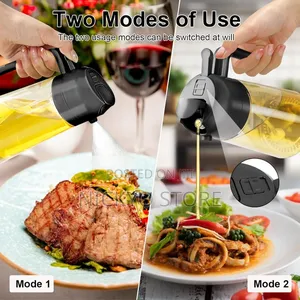 2 in 1 Oil Dispenser and Oil Sprayer 450ml