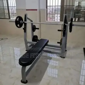 Olympic Standard Weight Lifting Bench