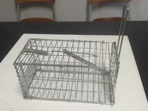 Mouse and Rat Traps