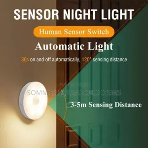 Body Induction Sensor Light