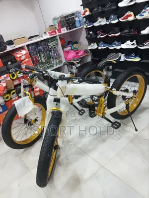 Luxury Big Tyre Bicycle