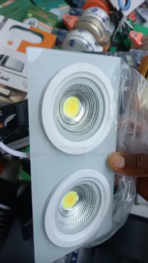 Ceiling Fitting Light for Homes/ Hotels/ Lounges/Guesthouses