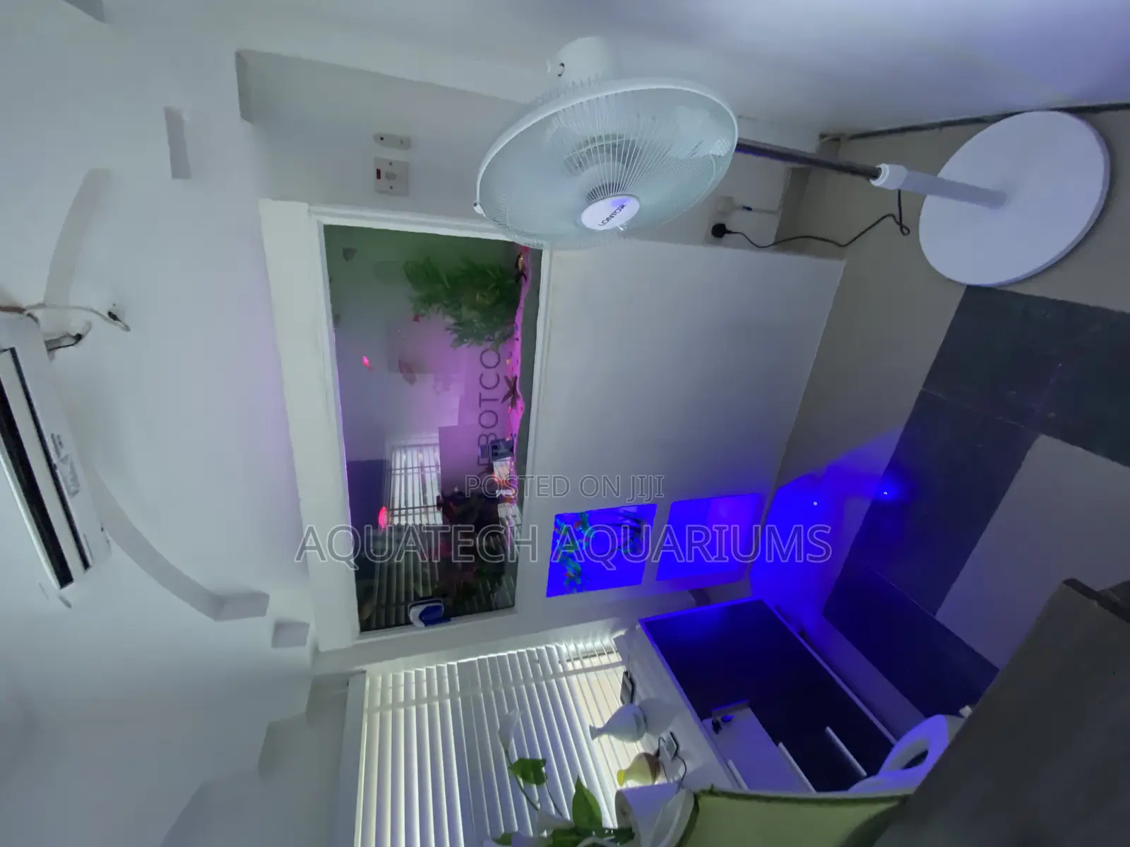 Customized Aquarium Tank