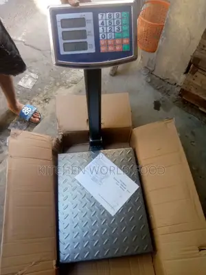 100kg Standing Digital Scale