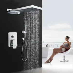 Waterfall Silver Conduit Shower