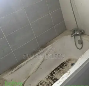 Best House Cleaning Service