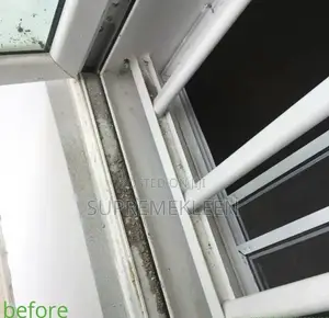Best House Cleaning Service