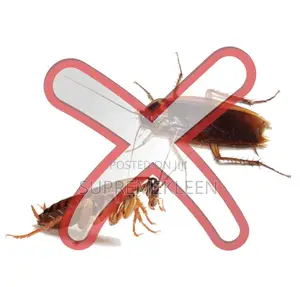 Fumigation Services Eliminates Cockroaches,Flies,Mosquitoes