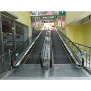 Electric Person Outdoor Walkway Escalator