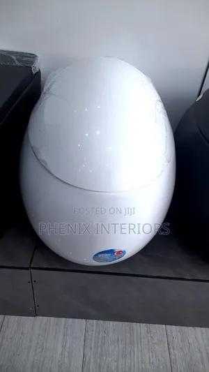 Smart Luxury Sensor Water Closet