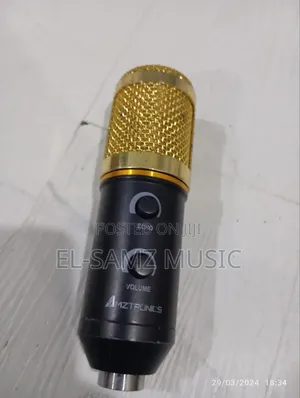 Amztronics and Br Condenser Studio Mics