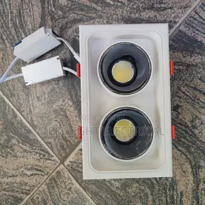 2in1 Led Spotlight