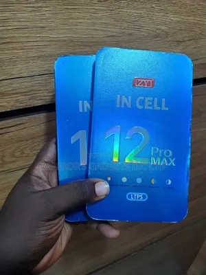 Apple iPhone 12 Pro Max Screen
