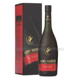 Remy Martin Cognac Vsop