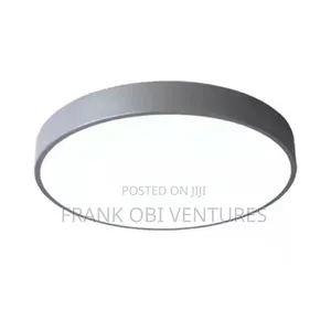 Luxury Ceiling Fittings