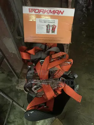 Workman Safety Body Harness