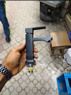 Matte Black Single Basin Faucet