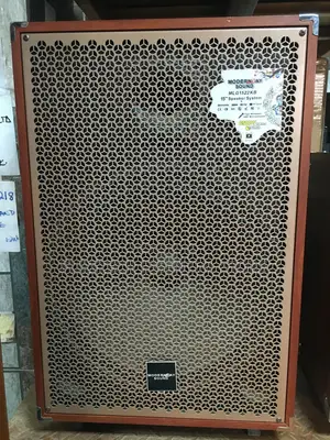Modern Day Sound Public Addressable Speaker 15 Inches