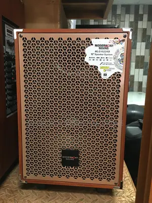 Modern Day Sound Public Addressable Speaker 10 Inches