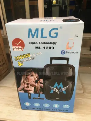 New 12 Inches Potable Trolley Speaker MLG