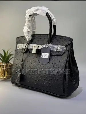 Eye-Catching Handbag for Classy Women