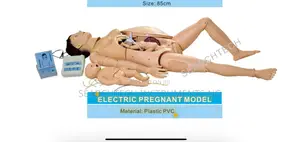 Electric Pregnant Model