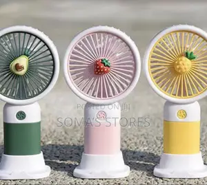 Rechargeable Fan