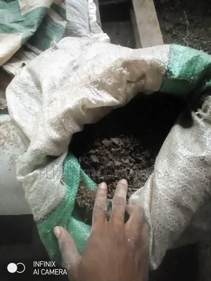 Palm Kernel Cake(Pkc)