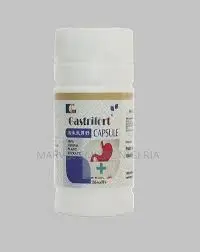 Kedi Small Gastrifort