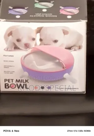 Pet Milk Bowl