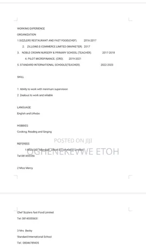 Accounting Finance CV