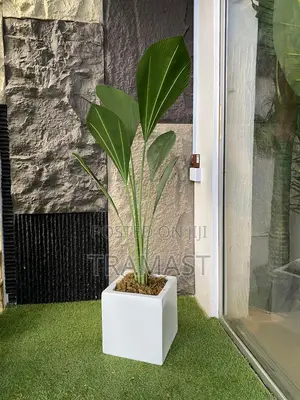 Artificial Fan Palm Potted With Square Fiberglass Vase