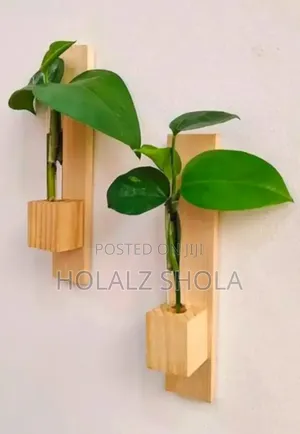 Wall Crafted Hexagonal Wooden Planter Decors