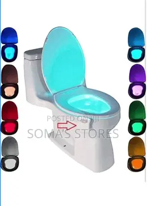 Toilet Light