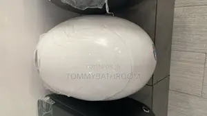 Smart White Wc